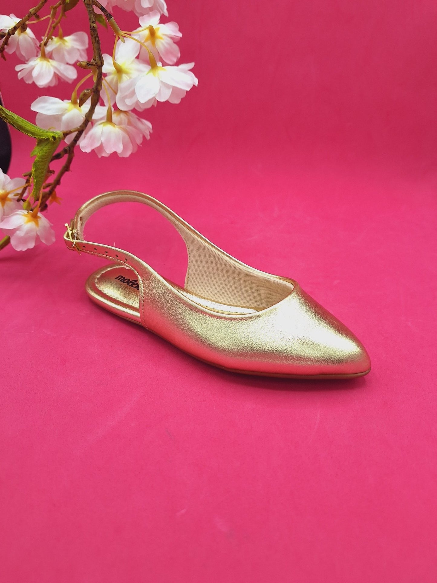 Zapatillas Doradas Molekinha - Magicas Princesas RD