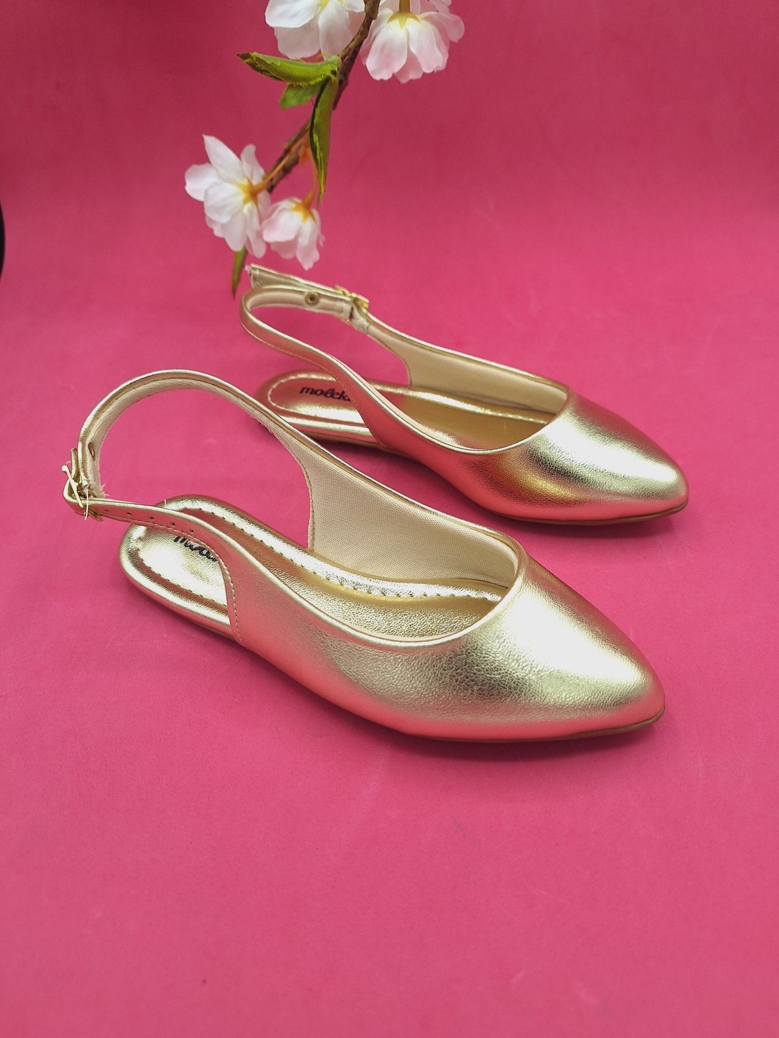 Zapatillas Doradas  Molekinha